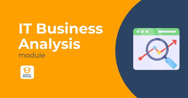 IT Business Analysis